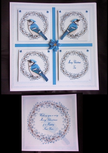 8 x 8 winter birds step by step card with choice of insert.