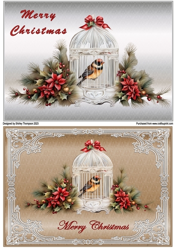 Pair of A5 caged bird quick card toppers
