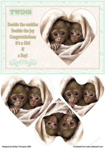 A5 step by step boy & girl twins card front.