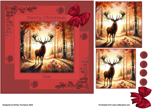 7 x 7 stag step by step card front (Son).