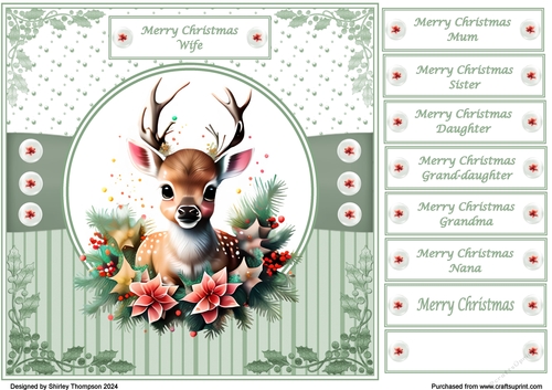 8 x 8 cute baby deer quick card front.