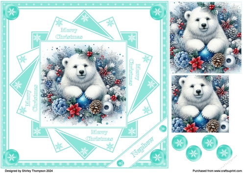8 x 8 polar bear step by step card front (Nephew).