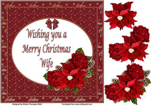 8 x 8 large poinsettia frame card front (Wife).