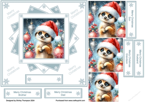7 in cute meerkat step by step card front (Sage).
