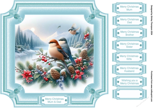 8 x 8 Frosted edged winter birds quick card front.