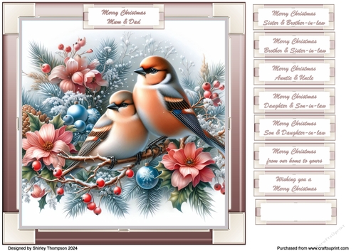 8 x 8 Winter birds quick card front.
