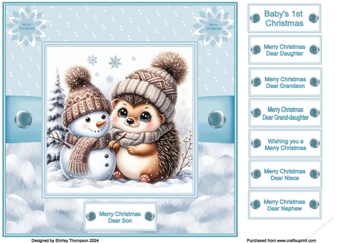 8 x 8 baby hedgehog with snowman quick card front.
