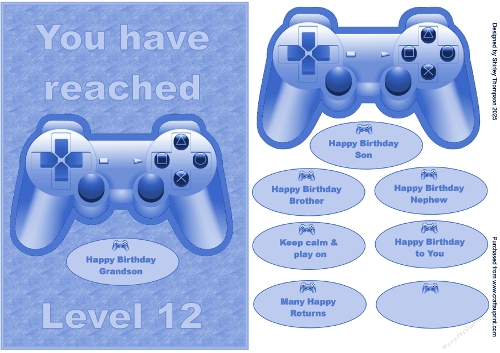 A5 male gamer quick card in blue (age 12).