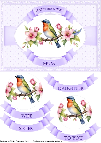A5 step by step spring bird card front.