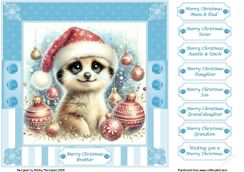 8 x 8 cute meerkat quick card front 