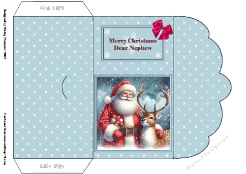 Santa & reindeer money wallet (Nephew).