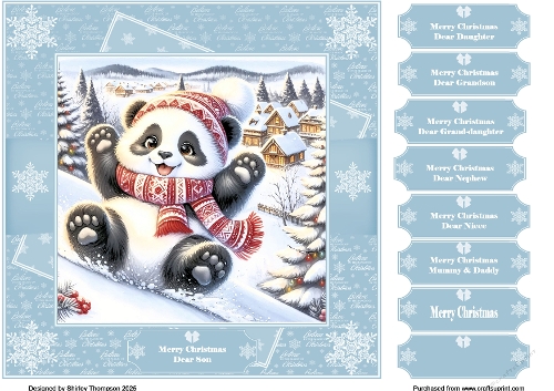8 x 8 sliding panda quick card front (Pale blue).