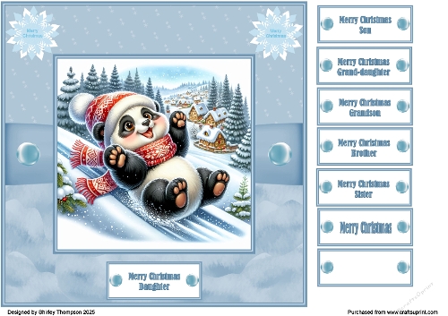 8 x 8 sliding panda quick card front (Blue).
