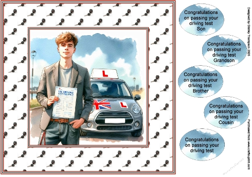 8 x 8 passing your driving test quick card (Male).