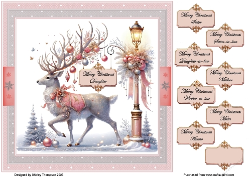 8 x 8 reindeer quick card front.
