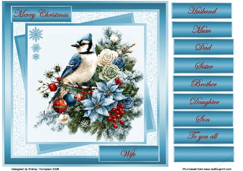 8 x 8 blue jay quick card front.