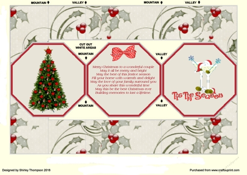 Octagonal tri-fold shutter Christmas card for a couple.