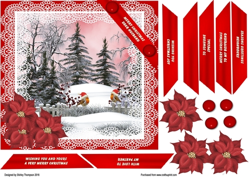 7 in square poinsettia and robins card front.
