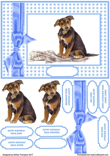 Naughty puppy A5 card front with decoupage.