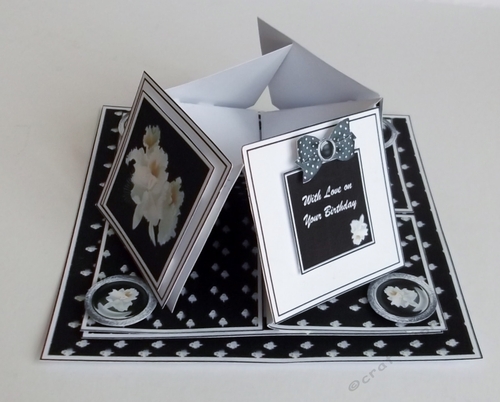 White orchid on black background quad easel card.