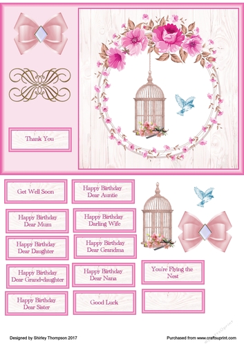 A5 Bird cage card front for lots of occasions.