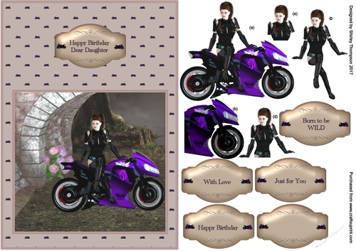 Born to be wild A5 step by step card front.