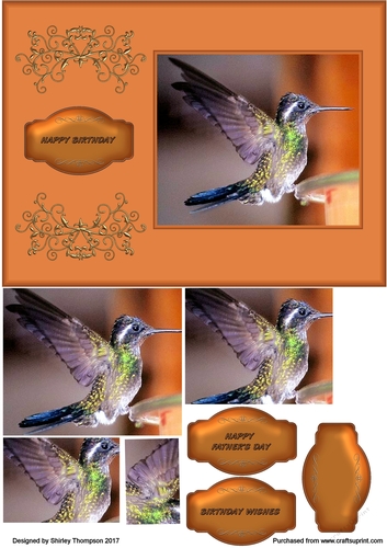 Humming bird A5 step by step card front.