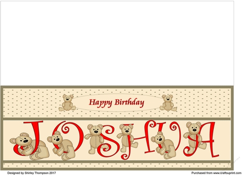 Teddy bear DL name card (Joshua).