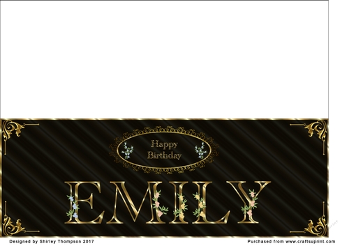 Large DL name card (Emily)
