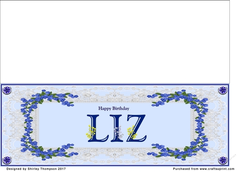 Blue DL name card (Liz)