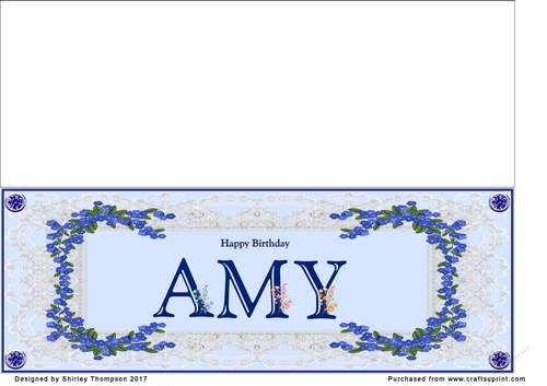 Blue DL name card (Amy)