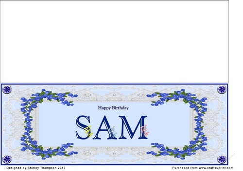 Blue DL name card (Sam)