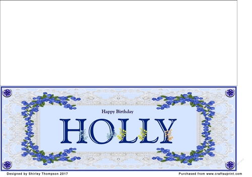 Blue DL name card (Holly)