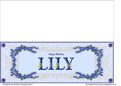 Blue DL name card (Lily)