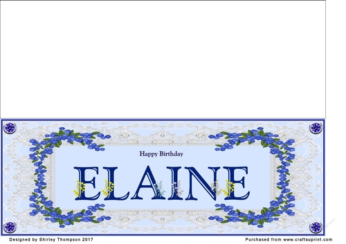 Blue DL name card (Elaine)