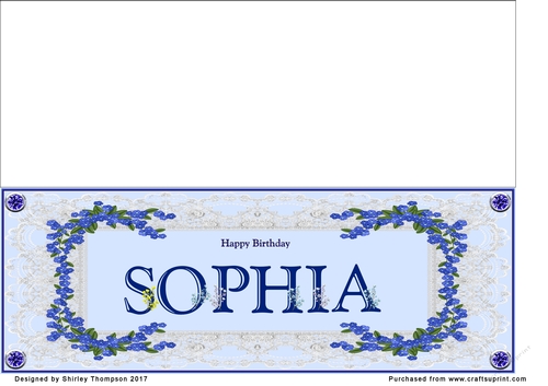 Blue DL name card (Sophia)