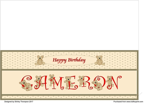 Teddy bear DL name card (Cameron).