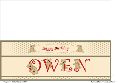 Teddy bear DL name card (Owen).