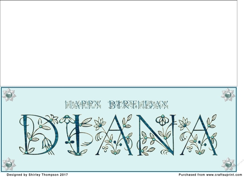 Large DL name card (Diana)