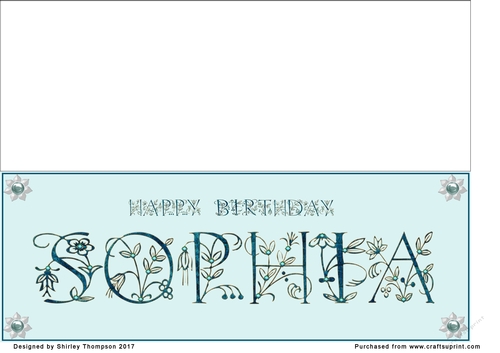 Large DL name card (Sophia)