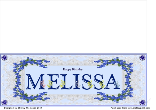 Blue DL name card (Melissa)