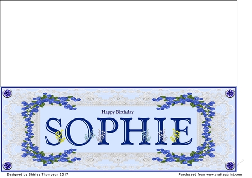 Blue DL name card (Sophie)