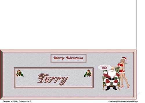Naughty Santa male DL name card (Terry)