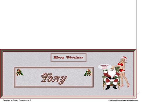 Naughty Santa male DL name card (Tony)