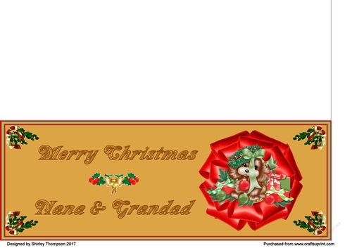 Gold Christmas puppy DL card (Nana & Grandad)