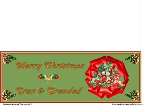 Green Christmas puppy DL card (Gran & Grandad)