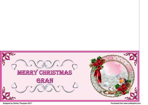Pink & fushia robin scene DL card (Gran)