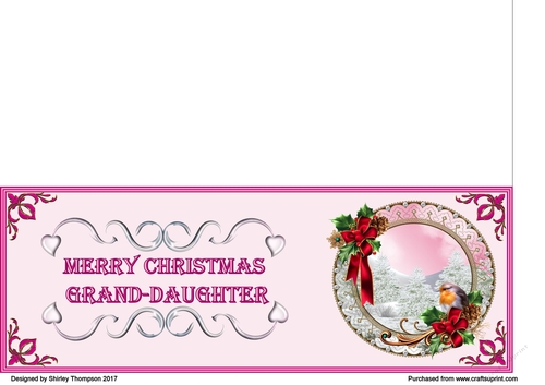 Pink & fushia robin scene DL card (Grand-daughter)