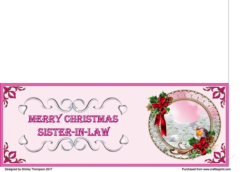 Pink & fushia robin scene DL card (Sister-in-law)