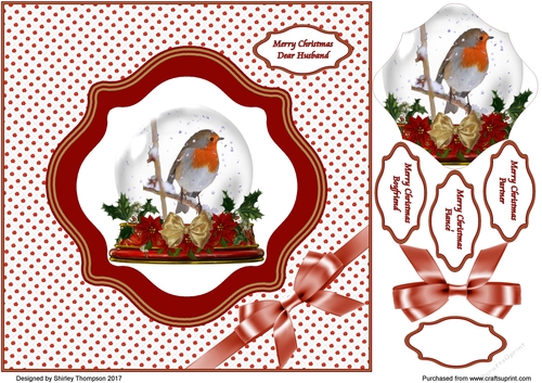 8 x 8 in Robin snowglobe card front.